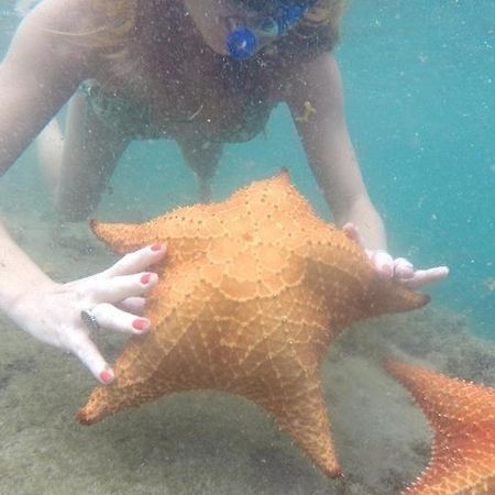 Appartamento Kitnet Aconchegante A 200M Da Praia Angra dos Reis Esterno foto